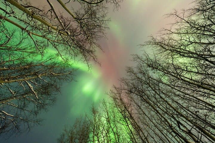 Fairbanks Aurora Chase with Free Photography: Night Tour & Tips photo 6