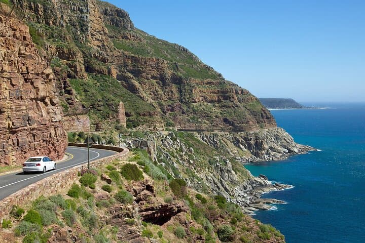 Private Cape Peninsula Full-Day Tour: Penguins, Cliffs & Chapman's Peak Drive
