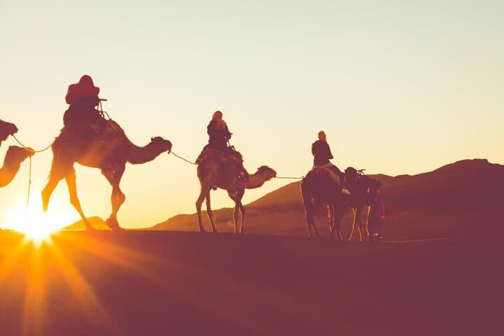 Two-Day Private Tour: Petra, Wadi Rum & Dead Sea from Amman photo 3