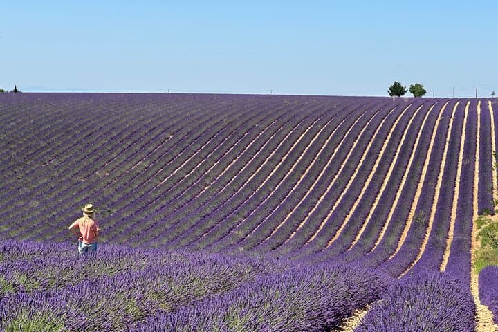 Private Full-Day Provence Lavender Fields Tour: Valensole, Moustiers-Sainte-Marie & Lac Sainte‑Croix photo 2