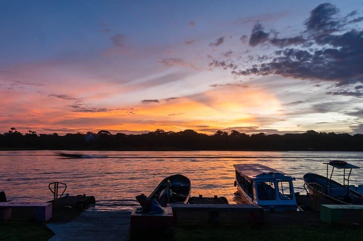 Tortuguero Turtle Nesting, Canoe Canals & Day Trails — A One-Day Wildlife Immersion photo 6