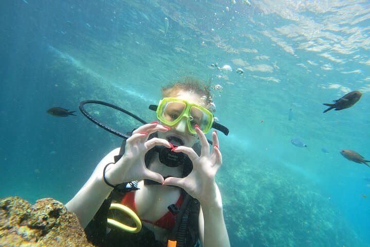 Shared Scuba Diving in Antalya: Full-Day Boat Trip with Two Guided Dives photo 3
