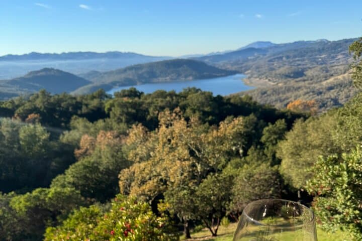 Private Napa & Sonoma Wine Tours: Half-Day Tasting in Napa Valley photo 2