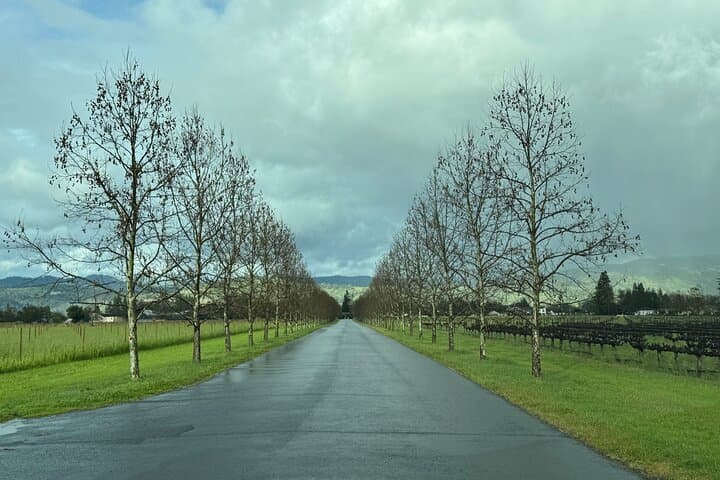 Private Napa & Sonoma Wine Tours: Half-Day Tasting in Napa Valley photo 5