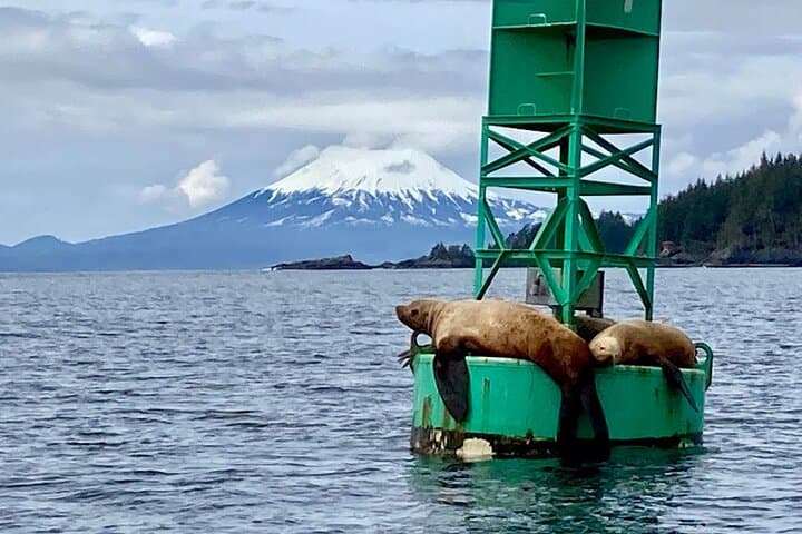 Sitka Private Wildlife Charter: St. Lazaria & Mt. Edgecumbe Scenic Cruise photo 1