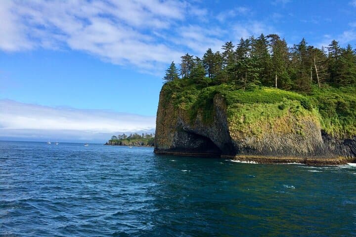 Sitka Seabird & St. Lazaria Private Charter — 3-Hour Eco Tour
