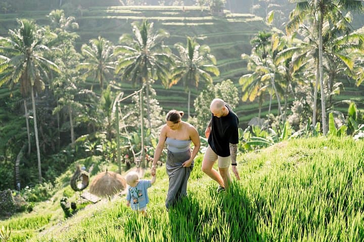 Ubud Day Trip: Monkey Forest, Rice Terraces, Tirta Empul & Waterfall (8-Hour Private Tour) photo 2