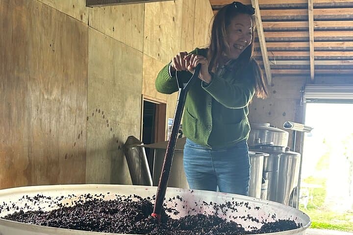 Private Chef-Led Martinborough Wine Tour with Gourmet Lunch from Wellington