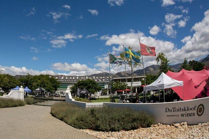 Big Five Safari and Breede River Valley Day Trip from Cape Town photo 5