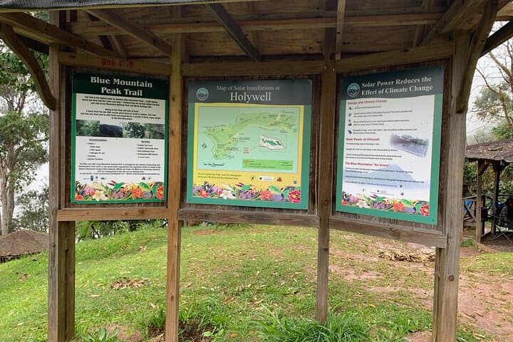 Blue Mountain Peak Hike and Holywell Park Sightseeing Tour photo 2