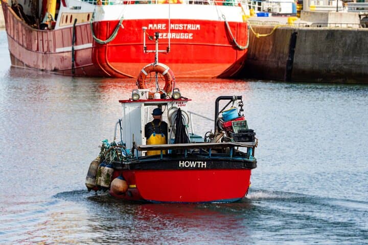 Howth Heritage Walk: Ancient Paths, Lighthouse Views & Gun‑Running Stories photo 4