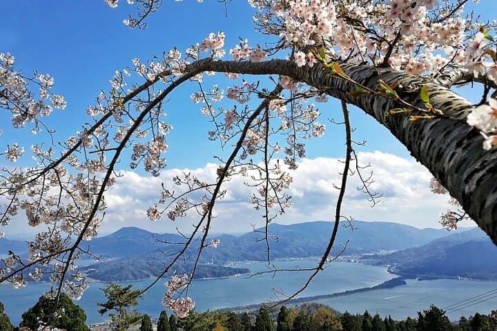 Amanohashidate & Ine Private Tour: Walk the Pine Sandbar and See Funaya Boathouses photo 4