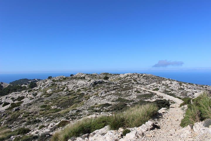 Walk the Archduke's Trail: Valldemossa Coastal Hike Along Mallorca's Northern Rim photo 4