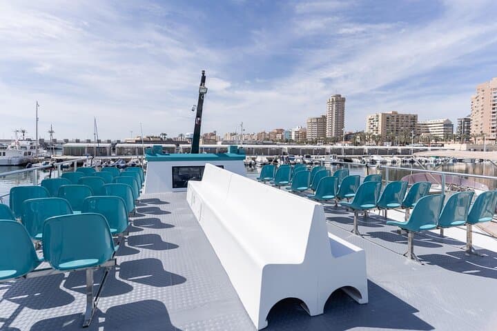 Catamaran Dolphin Watching in Fuengirola — Costa del Sol Marine Safari photo 6
