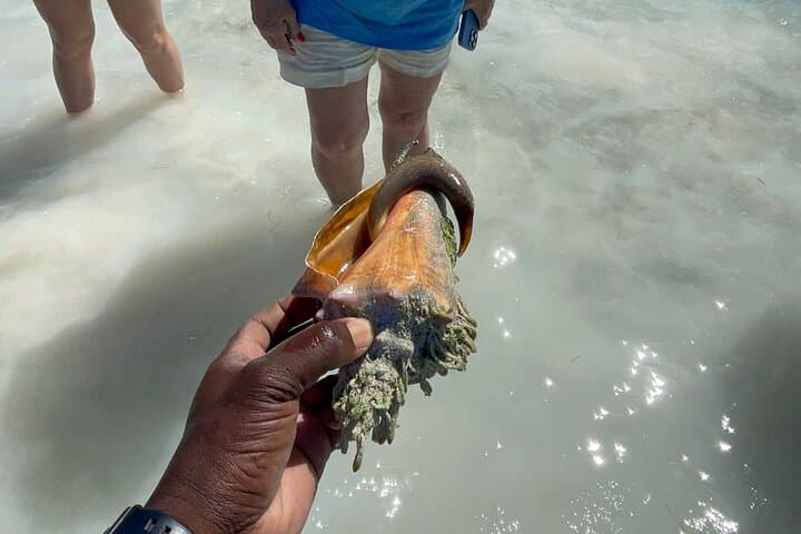 Great Exuma 3-Hour Guided ATV Tour: Caves, Beaches & Shallow Flats photo 3