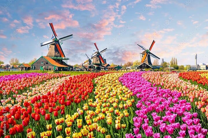 Private Countryside Tour from Amsterdam: Zaanse Schans, Volendam & Marken Day Trip