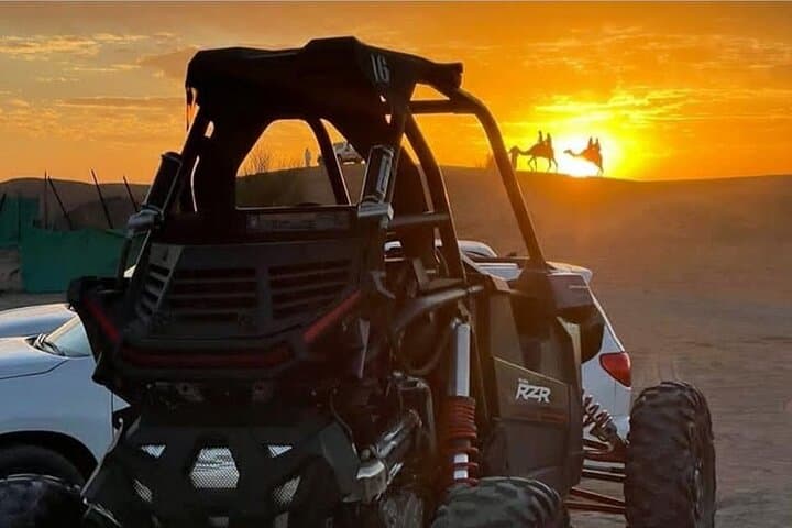 Riyadh Desert Dune Buggy and Camel Ride — Private 4-Hour Adventure photo 2