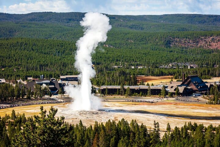 Yellowstone in a Day: Private Guided Tour from Jackson with Wildlife Viewing and Geothermal Highlights