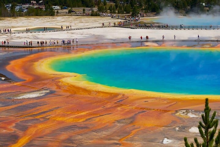 Yellowstone in a Day: Private Guided Tour from Jackson with Wildlife Viewing and Geothermal Highlights photo 3