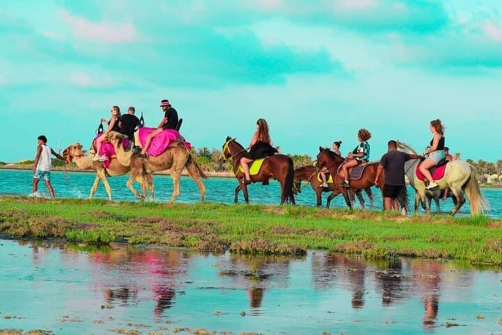 Sunset Horse & Camel Ride on Djerba Beach — 1-Hour Coastal Stroll photo 6