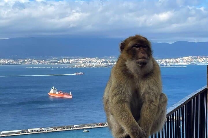 Gibraltar Private Day Trip from Malaga: Monkeys, Caves & Great Siege Tunnels