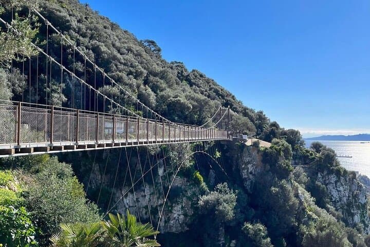 Gibraltar Private Day Trip from Malaga: Monkeys, Caves & Great Siege Tunnels photo 5