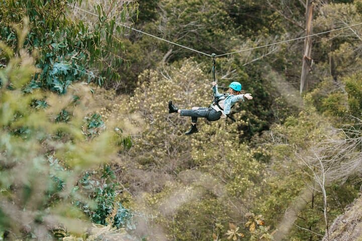 Haleakala 6-Line Zipline Adventure: Soar Maui’s Volcanic Slopes photo 5