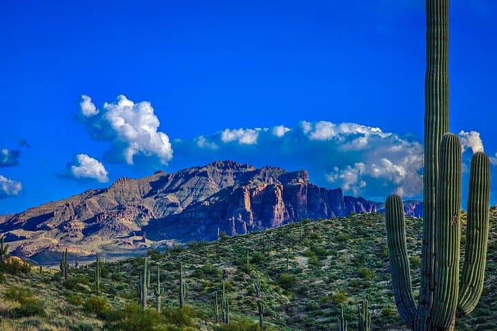 Offroad Sonoran Desert Jeep Adventure and Sunset near Phoenix photo 3