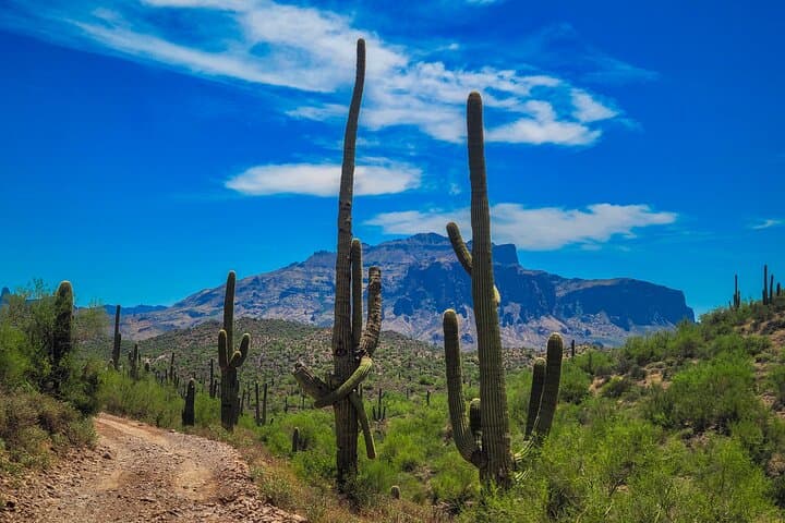 Offroad Sonoran Desert Jeep Adventure and Sunset near Phoenix photo 4