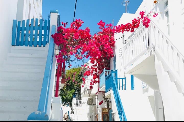 Mykonos Highlights Private Tour: Windmills, Little Venice & Beaches in 3–4 Hours photo 5