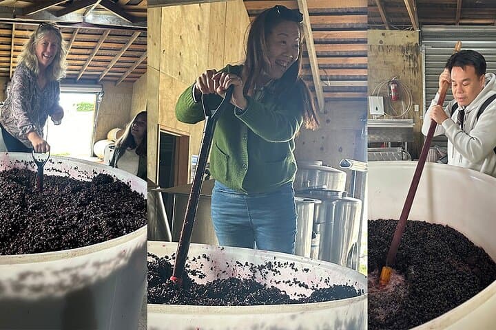 Private Chef-Led Martinborough Wine Tour with Gourmet Lunch from Wellington photo 6