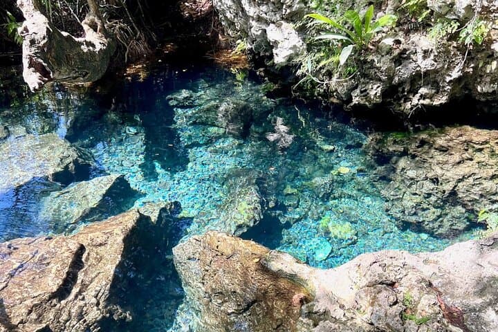 La Cueva del Indio & Manatí Water Spring Hike — Black Sand Beach, Coastal Arches and Cave Walk photo 3