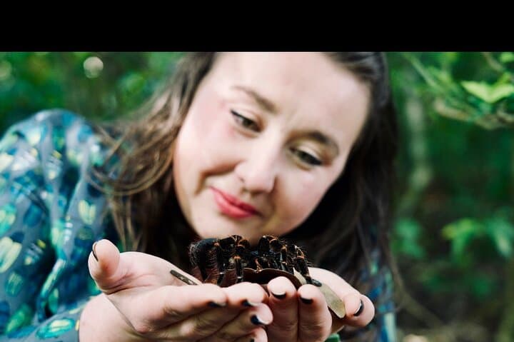 Monteverde Butterfly Gardens Tour: Up-Close Insectarium Experience photo 3