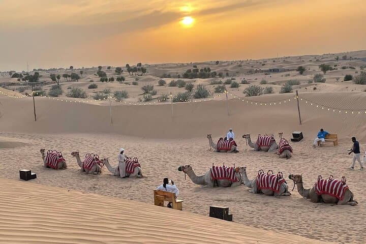Dubai Red Dunes Desert Safari: Dune Bashing, Sandboarding & VIP Majlis photo 5
