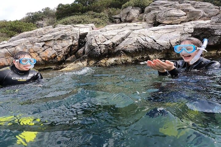 Schinias & Marathon Snorkel: Small-Group Boat Excursion from Nea Makri photo 3