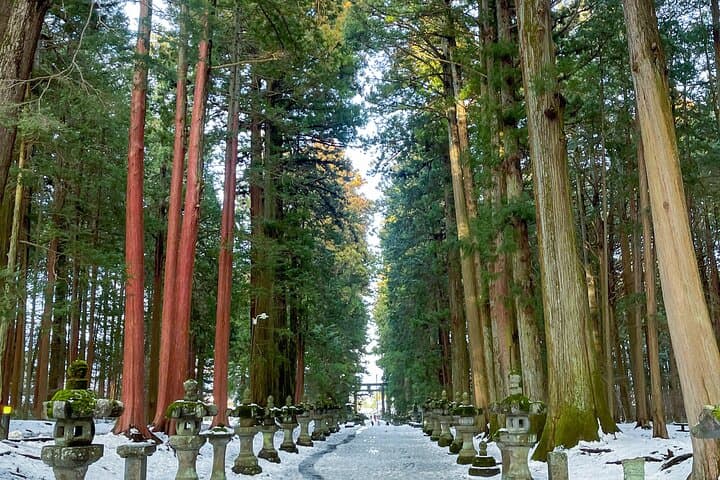 Private Tokyo to Mount Fuji Car Tour with English-Speaking Driver photo 2