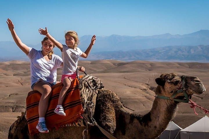Desert Quad Safari and Camel Ride in Sharm El-Shaikh — 25km Bedouin Adventure photo 3