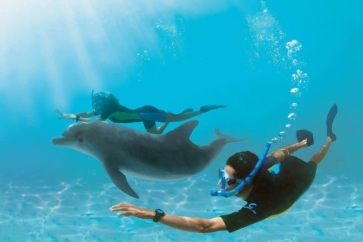 Dolphin House Snorkel Trip from Hurghada: Red Sea Day Cruise photo 5