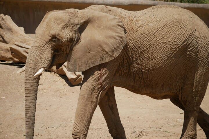 Ngorongoro Elephant Caves Hike & Endoro Waterfall Day Trip from Karatu