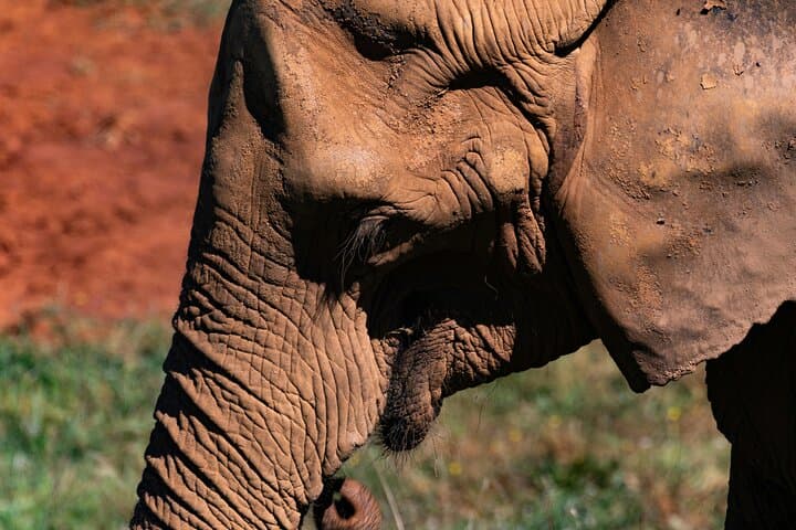 Ngorongoro Elephant Caves Hike & Endoro Waterfall Day Trip from Karatu photo 2