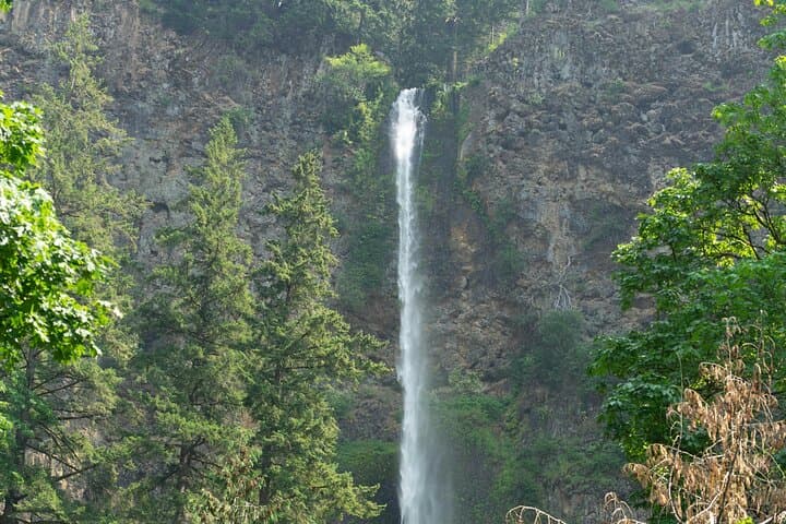 Ngorongoro Elephant Caves Hike & Endoro Waterfall Day Trip from Karatu photo 3