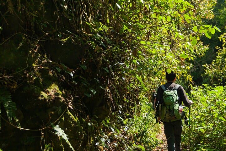 Ngorongoro Elephant Caves Hike & Endoro Waterfall Day Trip from Karatu photo 5
