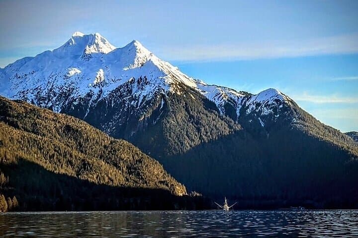 Private Sitka Whale & Wildlife Watching Cruise for Small Groups photo 4
