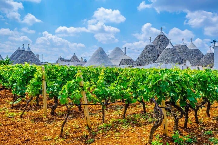 Alberobello Private Tour: Trulli, Wine & Puglian Flavors photo 3