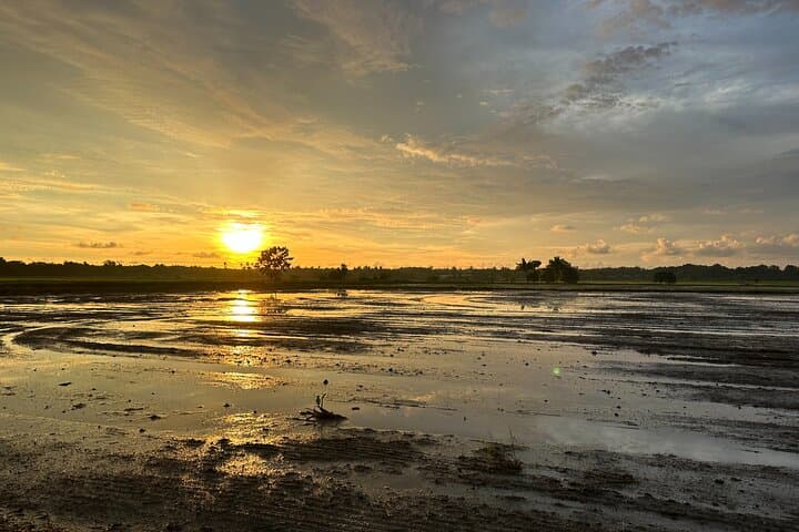 Sunset Buggy Ride Through Balik Pulau Paddy Fields — Penang Off-Road Experience photo 2
