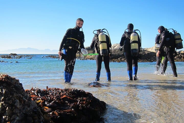 Intro Beach Dive in Sharm El Sheikh with Hotel Transfer