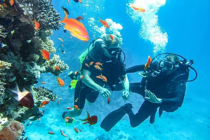 Intro Beach Dive in Sharm El Sheikh with Hotel Transfer photo 4