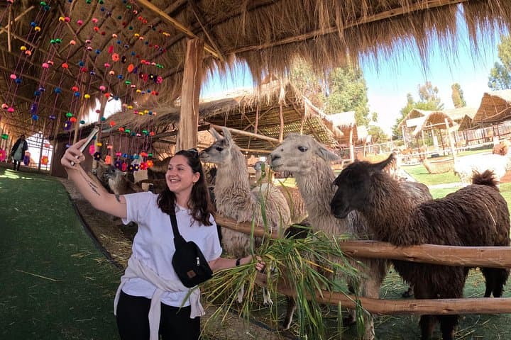 Sacred Valley & Machu Picchu: 2-Day Inca Ruins, Train Ride and Cultural Highlights photo 1