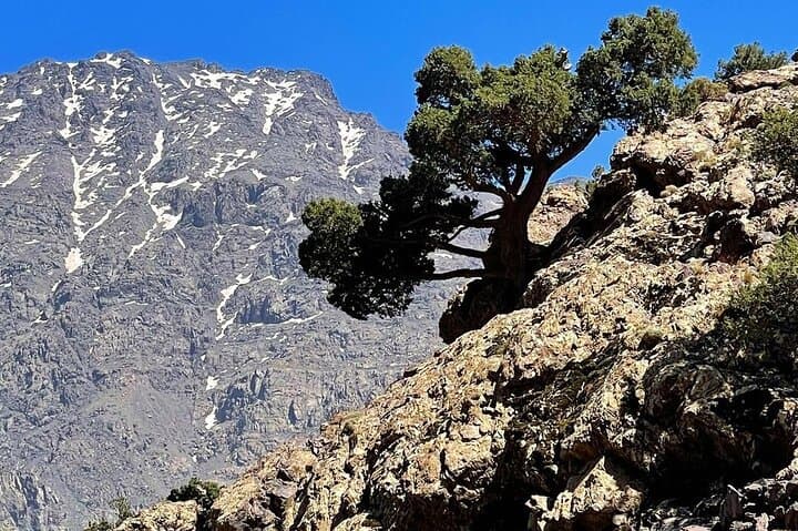 Atlas Mountains Day Trek from Marrakech: Imlil Villages, Berber Lunch & Valley Views photo 2