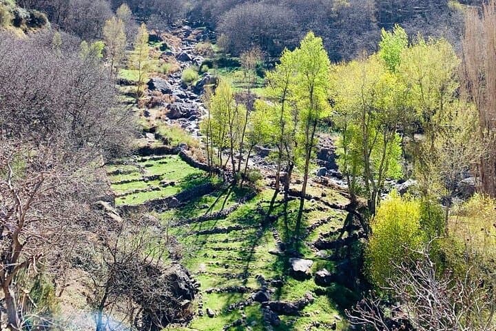 Atlas Mountains Day Trek from Marrakech: Imlil Villages, Berber Lunch & Valley Views photo 6